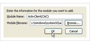 Module window for entering in module information